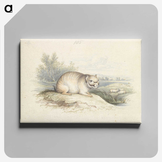 2-23_Charles-Hamilton-Smith_canvas
