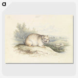 2-23_Charles-Hamilton-Smith_picture-crop