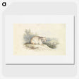 2-23_Charles-Hamilton-Smith_picture