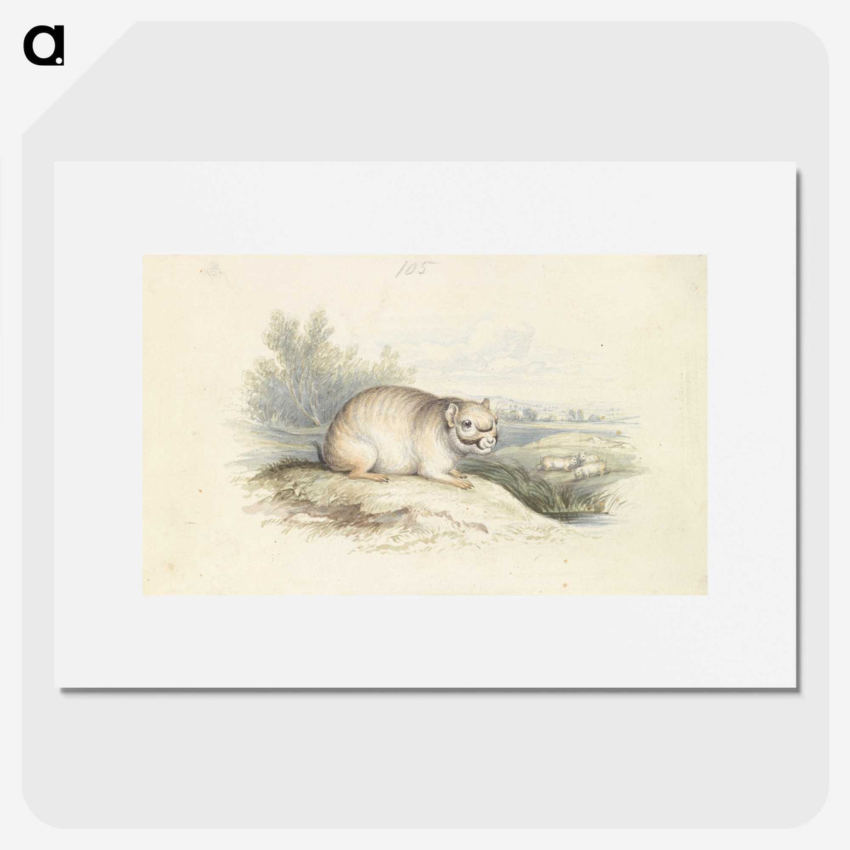 2-23_Charles-Hamilton-Smith_picture