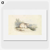 2-23_Charles-Hamilton-Smith_picture