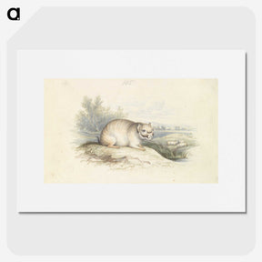 2-23_Charles-Hamilton-Smith_picture