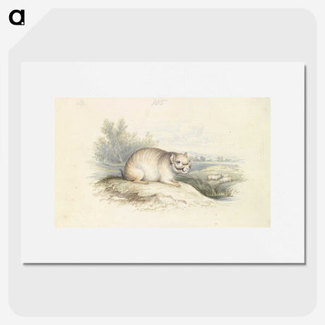 2-23_Charles-Hamilton-Smith_picture