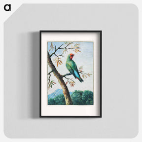 アートポスター-Bird Study
 - クリーブランド美術館 Poster.