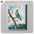 アートパネル-Bird Study
 - クリーブランド美術館 Canvas.