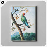 アートパネル-Bird Study
 - クリーブランド美術館 Canvas.