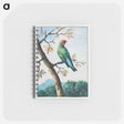 アートメモ帳-Bird Study
 - クリーブランド美術館 Memo.