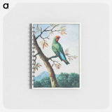アートメモ帳-Bird Study
 - クリーブランド美術館 Memo.