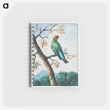 アートメモ帳-Bird Study
 - クリーブランド美術館 Memo.