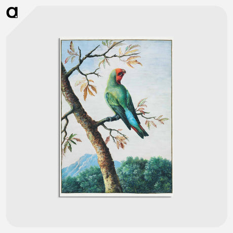 アートポストカード-Bird Study
 - クリーブランド美術館 Postcard.