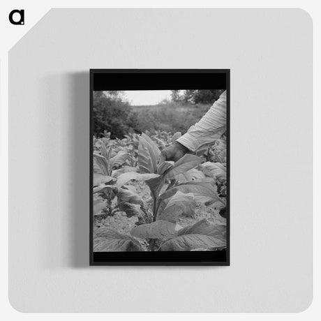 2-23_Dorothea-Lange_blk-crop