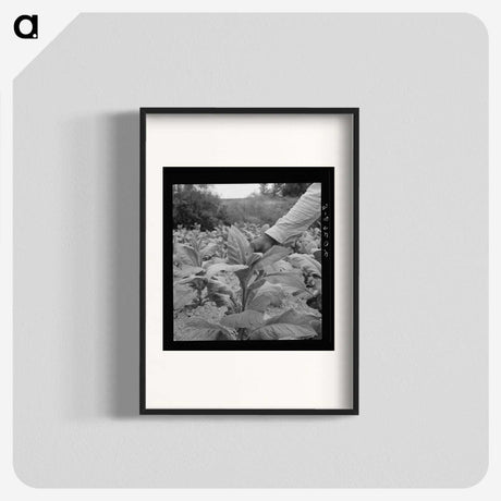 2-23_Dorothea-Lange_blk