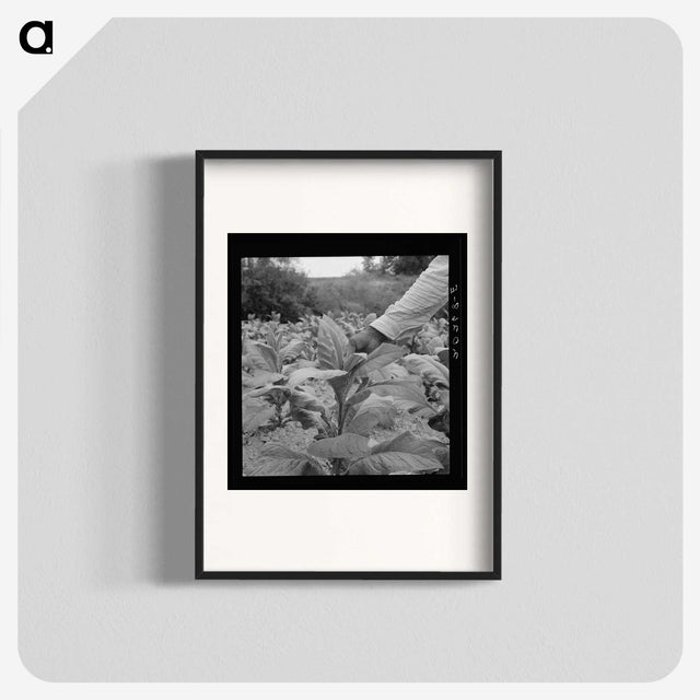 2-23_Dorothea-Lange_blk