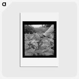 2-23_Dorothea-Lange_hagaki