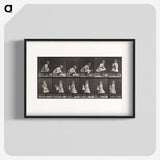 2-23_Eadweard-Muybridge_blk