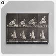 2-23_Eadweard-Muybridge_canvas