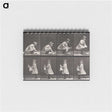2-23_Eadweard-Muybridge_memo