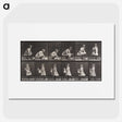 2-23_Eadweard-Muybridge_picture