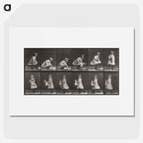 2-23_Eadweard-Muybridge_picture