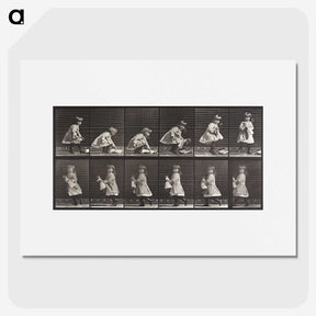 2-23_Eadweard-Muybridge_picture