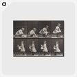 2-23_Eadweard-Muybridge_postcard