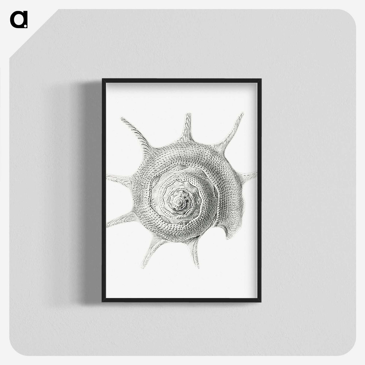 2-23_Ernst-Haeckel_blk-crop