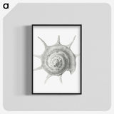 2-23_Ernst-Haeckel_blk-crop