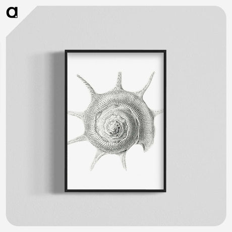 2-23_Ernst-Haeckel_blk-crop