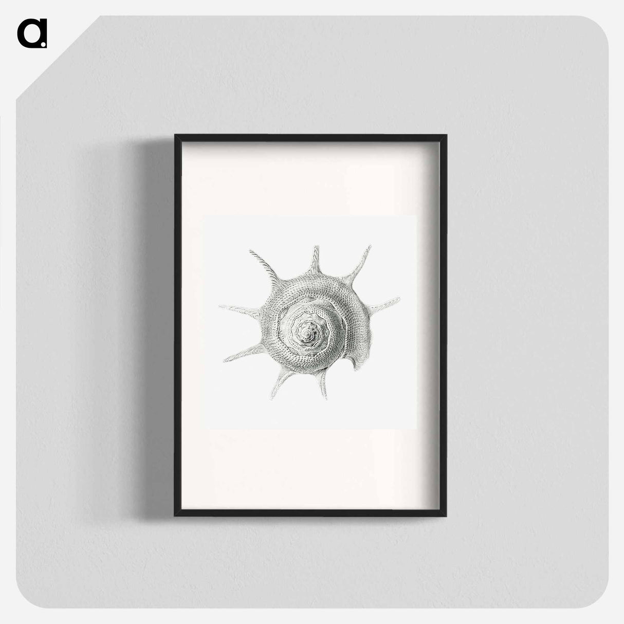 Vintage aquatic snail illustration - エルンスト ヘッケル Poster.
