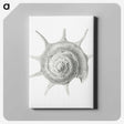 2-23_Ernst-Haeckel_canvas