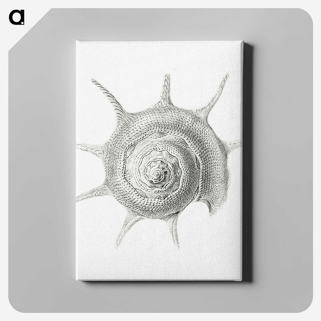 2-23_Ernst-Haeckel_canvas