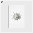 アートポストカード-Vintage aquatic snail illustration - エルンスト ヘッケル Postcard.