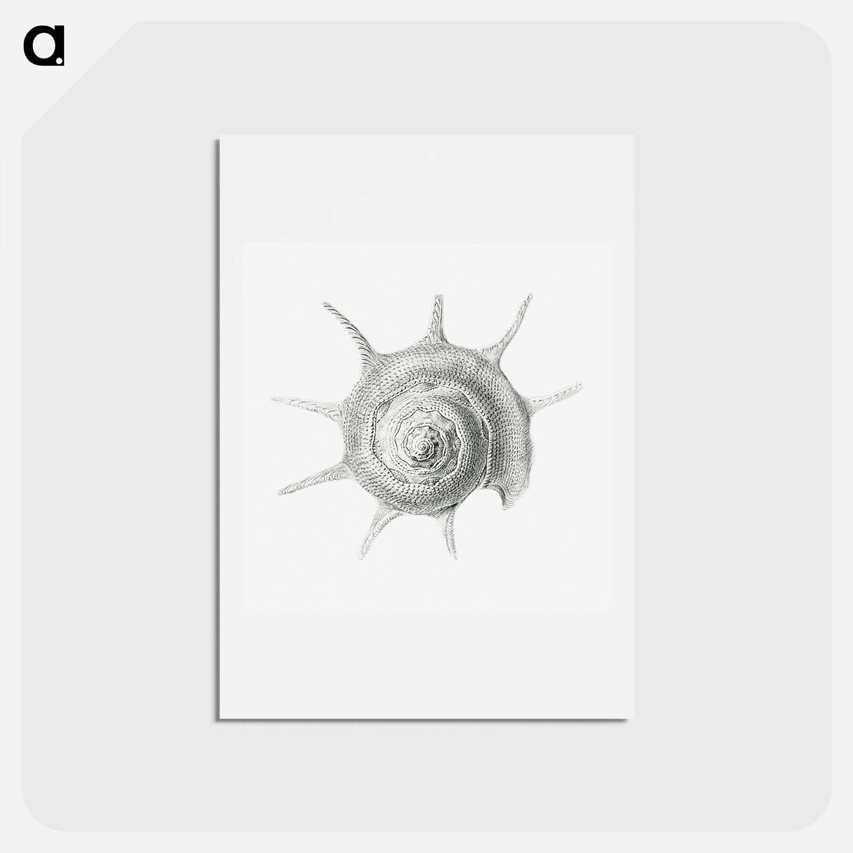 アートポストカード-Vintage aquatic snail illustration - エルンスト ヘッケル Postcard.