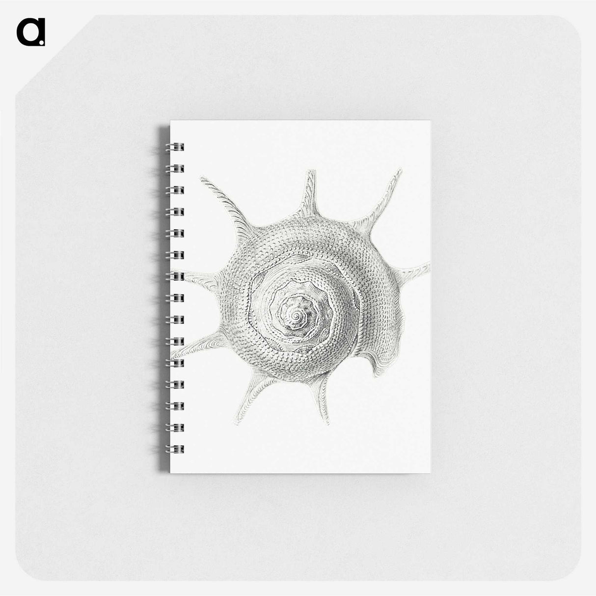 2-23_Ernst-Haeckel_memo