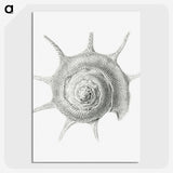 2-23_Ernst-Haeckel_picture-crop