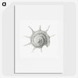 2-23_Ernst-Haeckel_picture
