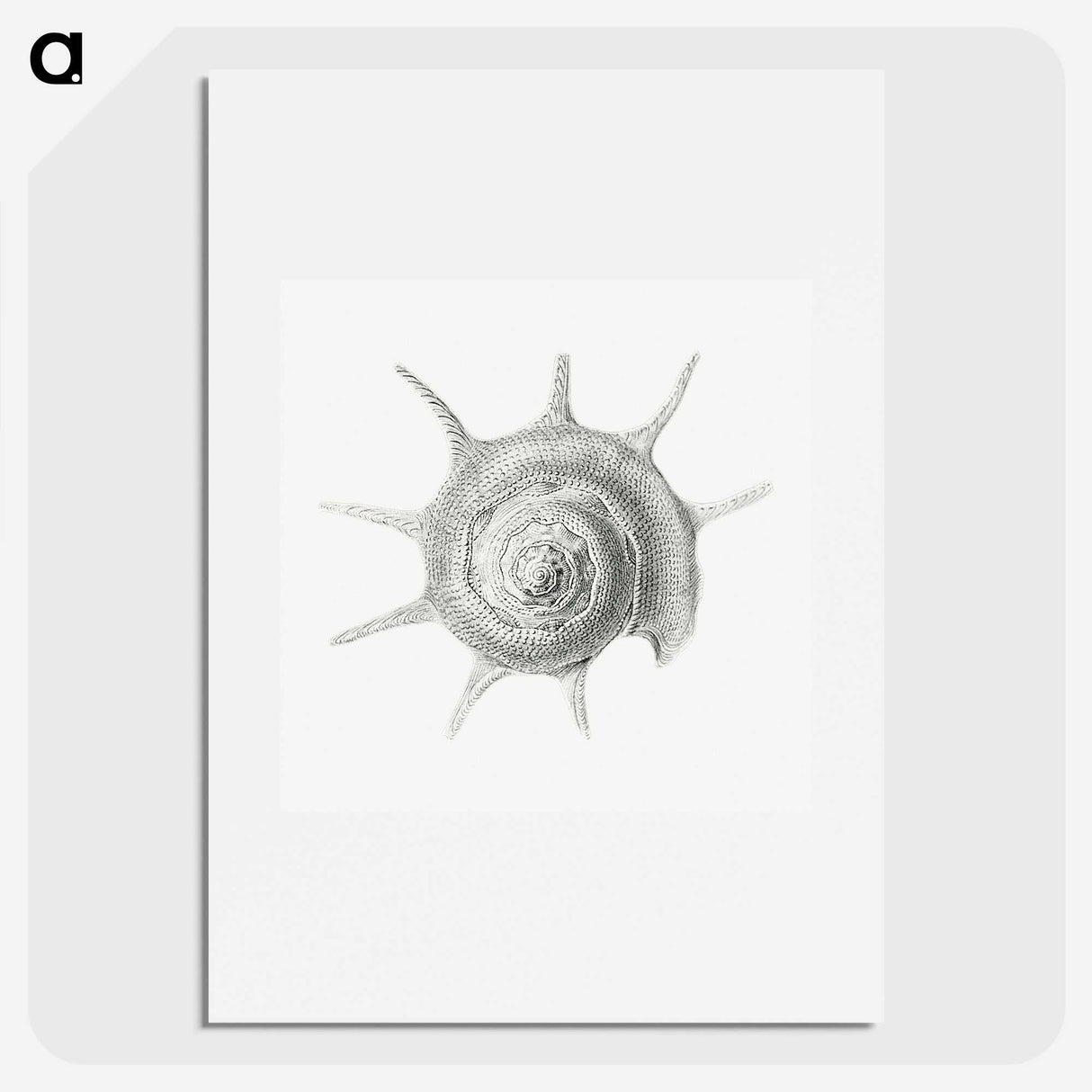 2-23_Ernst-Haeckel_picture