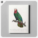 2-23_Francois-Levaillant_canvas