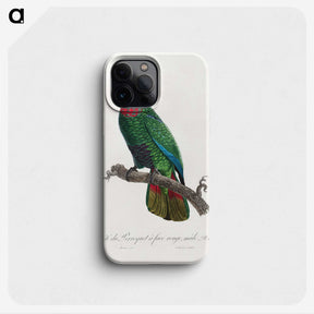 2-23_Francois-Levaillant_phone