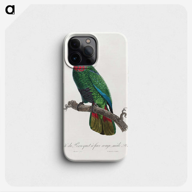 2-23_Francois-Levaillant_phone