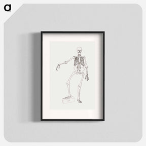 アートポスター-Human Skeleton, Anterior View
 - ジョージ スタッブス Poster.