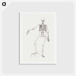 アートポストカード-Human Skeleton, Anterior View
 - ジョージ スタッブス Postcard.