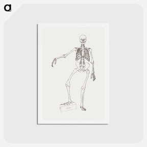 アートポストカード-Human Skeleton, Anterior View
 - ジョージ スタッブス Postcard.
