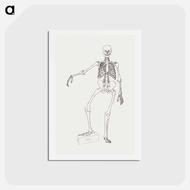 アートポストカード-Human Skeleton, Anterior View
 - ジョージ スタッブス Postcard.