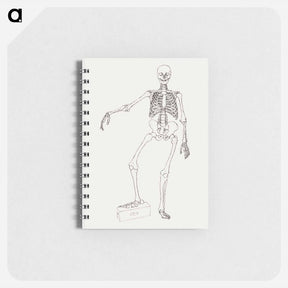 アートメモ帳-Human Skeleton, Anterior View
 - ジョージ スタッブス Memo.
