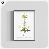 2-23_Histoire-des-Plantes-Grasses_blk-crop