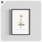 2-23_Histoire-des-Plantes-Grasses_blk