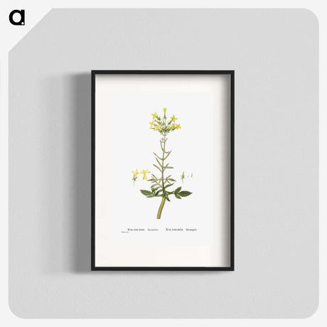 2-23_Histoire-des-Plantes-Grasses_blk