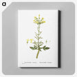 2-23_Histoire-des-Plantes-Grasses_canvas