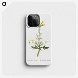 2-23_Histoire-des-Plantes-Grasses_phone